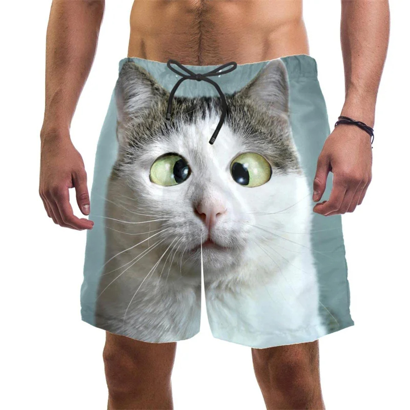 Trunks Board Surf - Celana pendek pantai kucing lucu motif